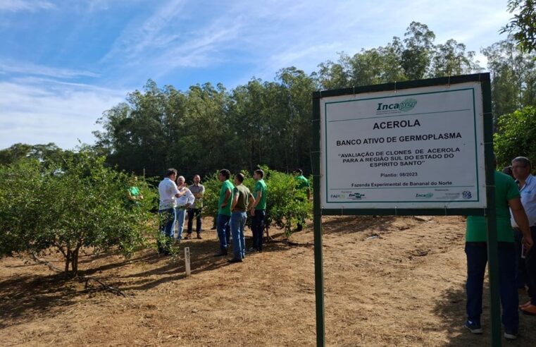 Técnicos do Incaper se capacitam para apoiar expansão da cultura da acerola no Espírito Santo