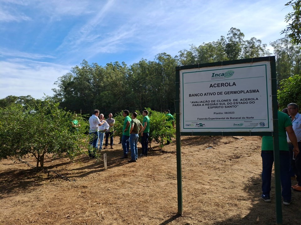 Técnicos do Incaper se capacitam para apoiar expansão da cultura da acerola no Espírito Santo