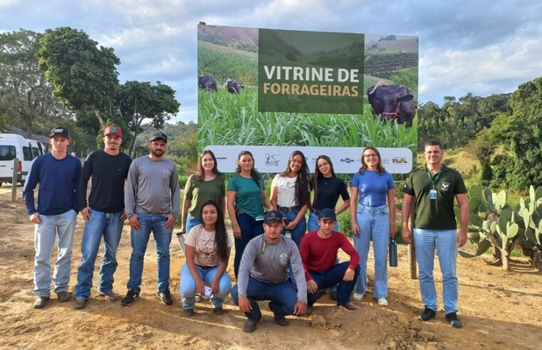 Biotecnologia reprodutiva: cursos capacitam pecuaristas capixabas para inseminação artificial em bovinos