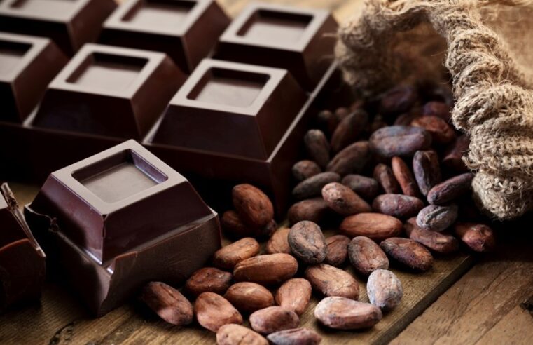 Espírito Santo celebra Dia Mundial do Chocolate com valorização de sua produção de cacau